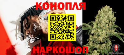 амф Кунгур