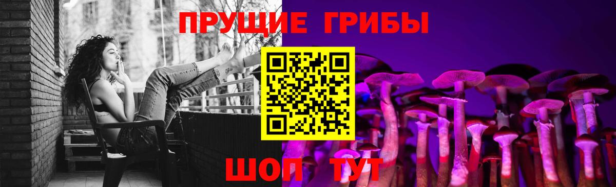 Заводоуковск  Галлюциногенные грибы Cubensis  Вход с VPN 